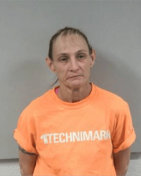 lovelace, teresa michelle