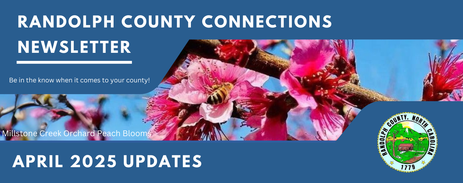 April 2025 Updates Newsletter Header